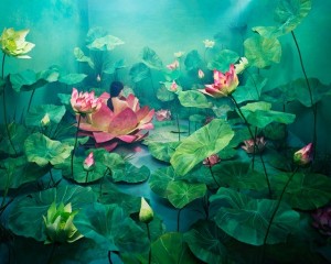 Resurrection_Jee Young Lee